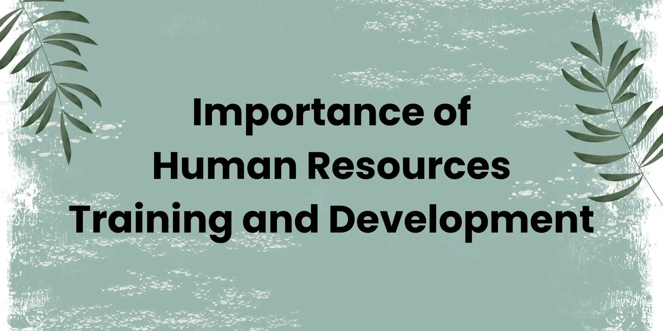 Importance of Training and Development in HRM