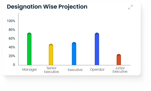 Designation Wise Projection