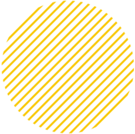 Web Element 7