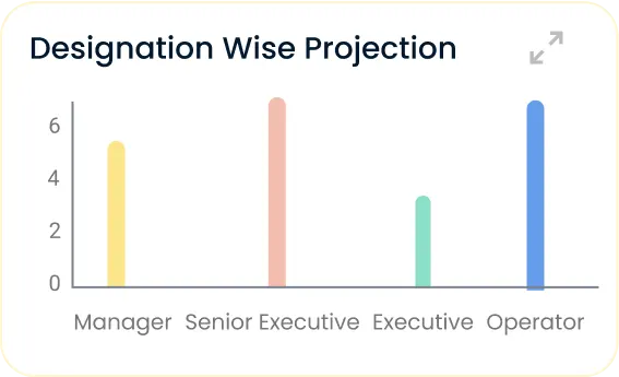 Designaion wise projection