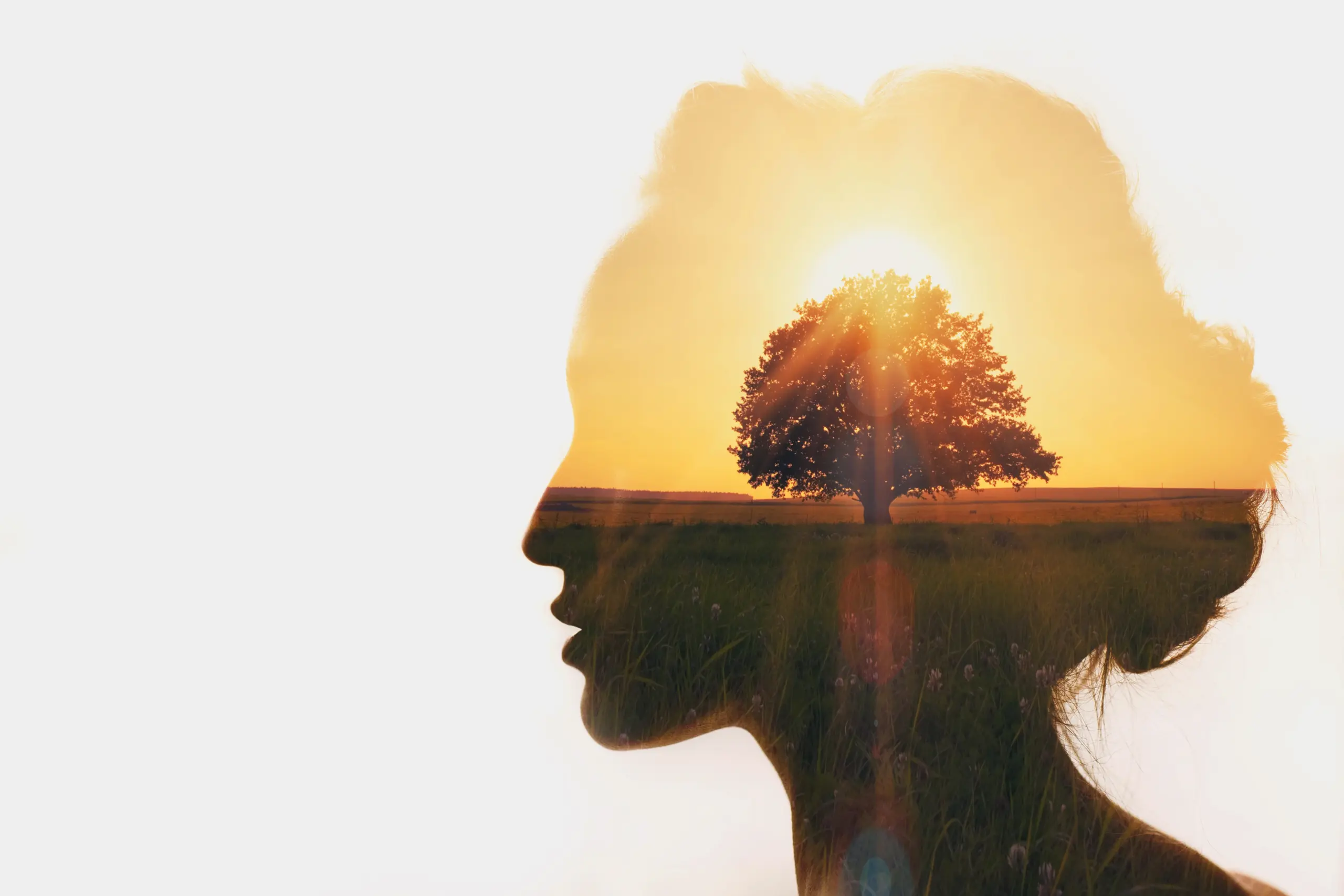 what is mental health meaning
